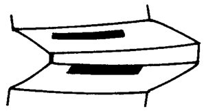 FX݆͜pX݆g(sh)Zӹ݆X|zԇ